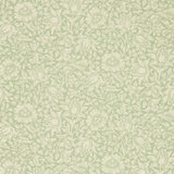 Mallow - 216678