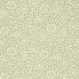 Mallow - 216678