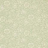 Mallow - 216678