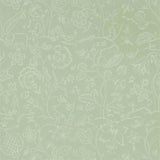 Middlemore - 216694