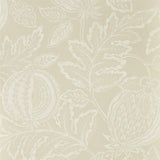 Cantaloupe - 216760