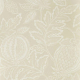 Cantaloupe - 216760