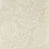 Cantaloupe - 216760