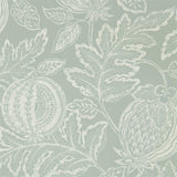 Cantaloupe - 216761
