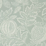 Cantaloupe - 216761