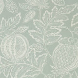 Cantaloupe - 216761