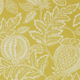 Cantaloupe - 216762