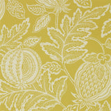 Cantaloupe - 216762