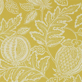 Cantaloupe - 216762