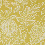 Cantaloupe - 216762