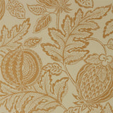 Cantaloupe - 216763