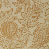 Cantaloupe - 216763