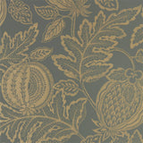 Cantaloupe - 216764