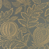 Cantaloupe - 216764