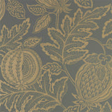 Cantaloupe - 216764