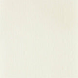 Caspian Strie - 216771