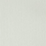 Caspian Strie - 216774