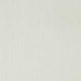 Caspian Strie - 216774