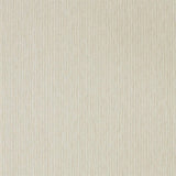 Caspian Strie - 216776