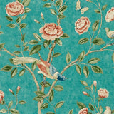 Andhara - 216796