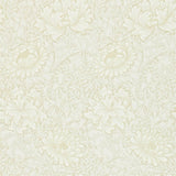 Chrysanthemum - 216823