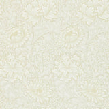 Chrysanthemum - 216823