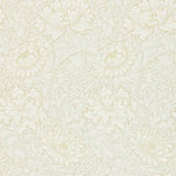 Chrysanthemum - 216823