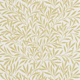 Willow - 216830