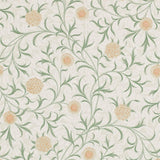 Scroll - 216831