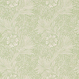 Marigold - 216837