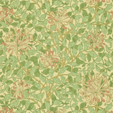 HONEYSUCKLE - 216842