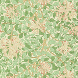 HONEYSUCKLE - 216842