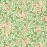HONEYSUCKLE - 216842