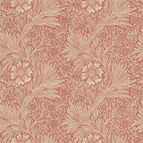 Marigold - 216844