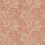 Marigold - 216844