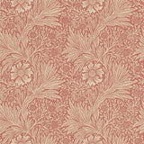 Marigold - 216844
