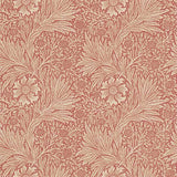 Marigold - 216844