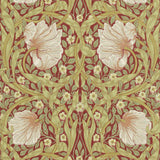 Pimpernel - 216845