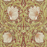 Pimpernel - 216845
