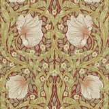 Pimpernel - 216845