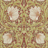 Pimpernel - 216845