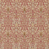 Snakeshead - 216847