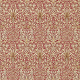 Snakeshead - 216847