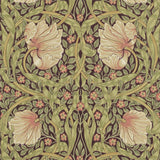 Pimpernel - 216852