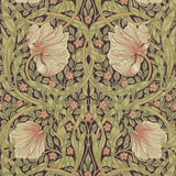 Pimpernel - 216852