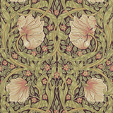 Pimpernel - 216852