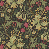Golden Lily - 216853