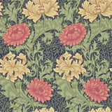 Chrysanthemum - 216854