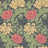 Chrysanthemum - 216854