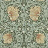 Pimpernel - 216856